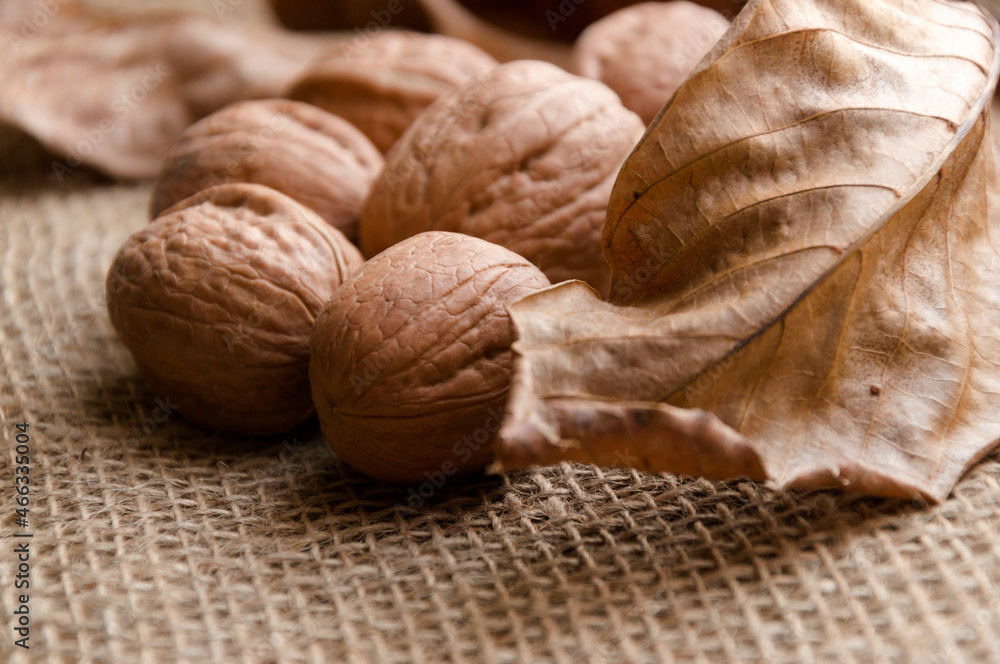 walnut on the table in the country walnut on the table in the country