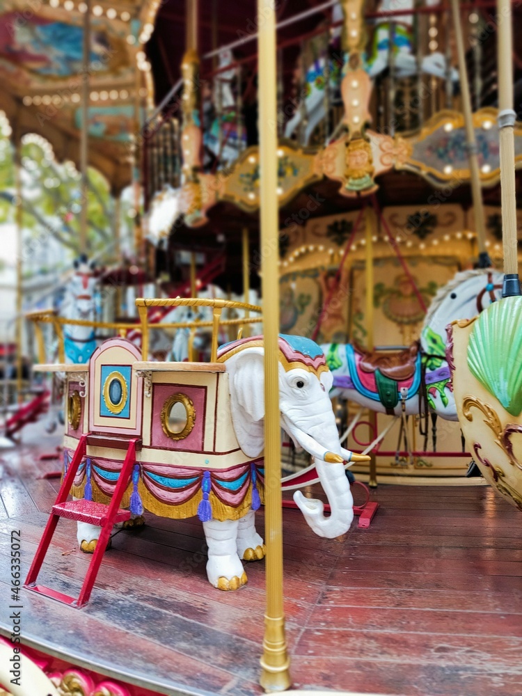 Obraz premium AVIGNON (Vaucluse)