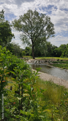 countryside landscape along a small river