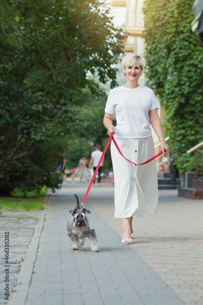 A woman in white clothes walks the streets of the city on a summer day with her small gray shaggy Shatlad Terrier dog with a red leash. The concept of training, pets and veterinary medicine. Copyspace