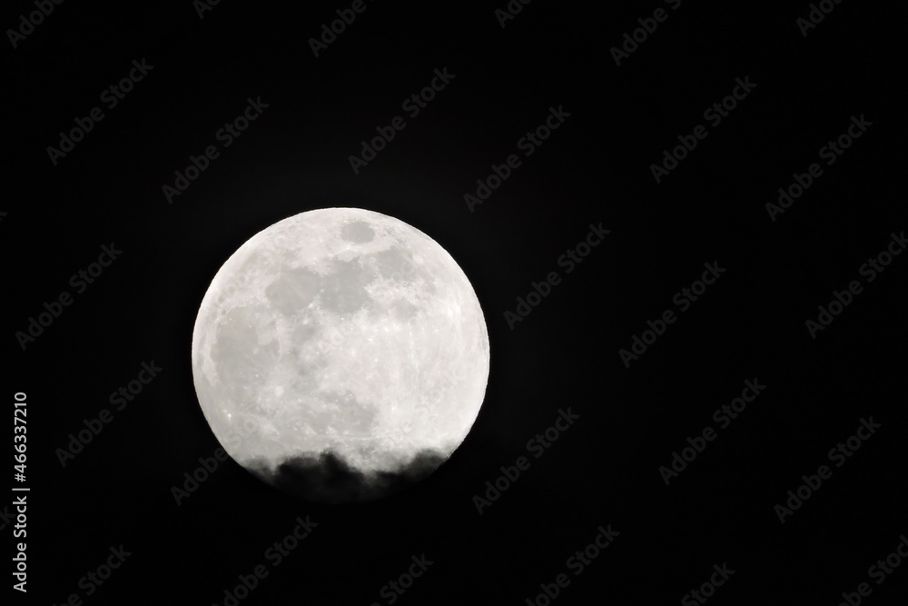 Fototapeta premium Księżyc