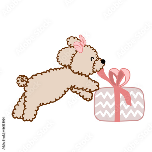 Illustration dog lapdog with pink bow and gift box