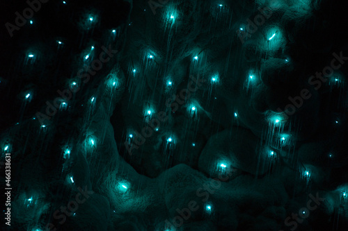 glowworms in waitomo