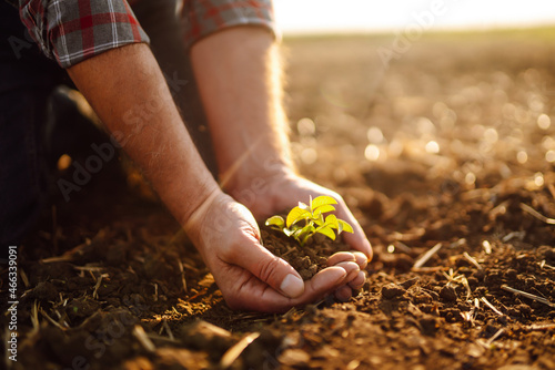 Male hands touching soil on the field. Expert hand of farmer checking soil health before growth a seed of vegetable or plant seedling. Business or ecology concept.