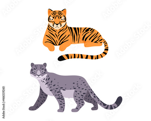 Felid or Wild Cat as Carnivore Animal with Tiger and Oncilla Vector Set photo
