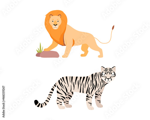 Felid or Wild Cat as Carnivore Animal with Lion and Bengal Tiger Vector Set