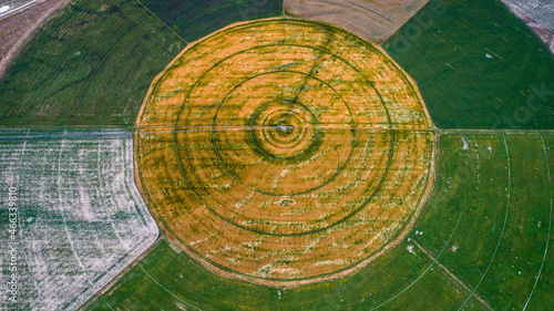 circle crop fields seen from above