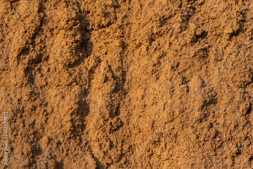 Yellow-orange clay cliff surface. Background texture.