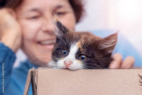 Canvas Print Small kitten in a cardboard box and a woman with a smile looks at the kitten