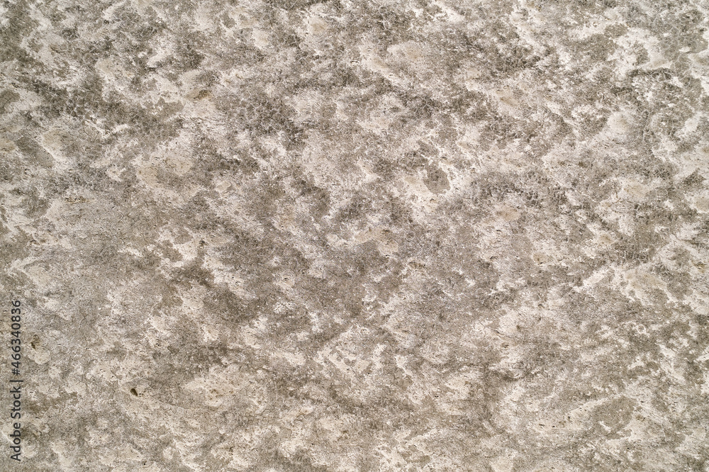 Fototapeta premium Textured Background. Beautiful Abstract Grunge Decorative Beige Stucco Wall Background. Art Rough stylized texture banner with space for text.