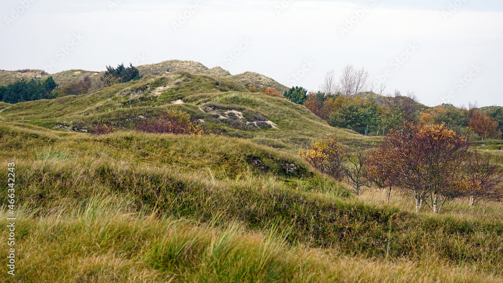 Fototapeta premium Herbst in den Dünen