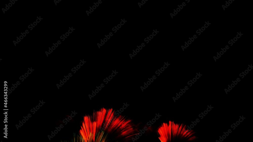 4K. 2022. loop seamless of real fireworks background. abstract blur of real golden shining fireworks with bokeh lights in the night sky. glowing fireworks show. New year's eve fireworks celebration.
4K. 2022. loop seamless of real fireworks background. abstract blur of real golden shining fireworks with bokeh lights in the night sky. glowing fireworks show. New year's eve fireworks celebration.