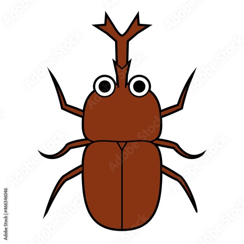 カブトムシ
