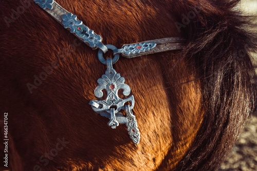 Traditional Mongolian horse harness close-up on a horse. photo