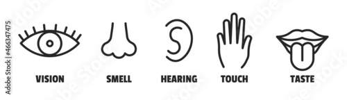 Minimal sence icons. Eye nose ear hand tongue sensation sign. Vector sensory simple sign