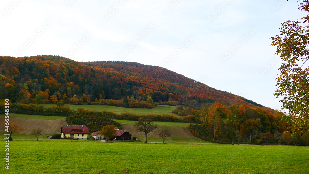 Fototapeta premium Bauernhof in der buckligen Welt