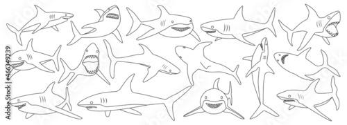 Sea shark vector outline set icon. Vector illustration sea fish of shark on white background .Isolated outline icon ocean animal.