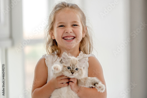 Girl with ragdoll kitten photo