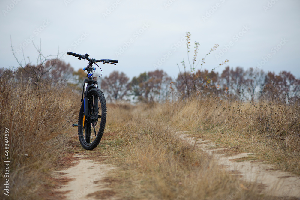 Fototapeta premium bike stands on in the field. A mountain bike stands on a field path with dry autumn grass. cycling. Mountain bike. outdoor cycling activities. active rest, sports, travel. space for text