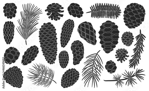 Cone pine isolated black set icon. Vector illustration spruce pinecone on white background. Vector black set icon cone pine.