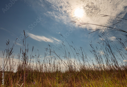 Sun and prairie grasses with wispy clouds