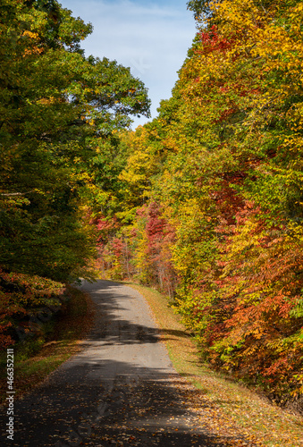 Paved road in the Coopers Rock state park in the autumn near Cheat Lake near Morgantown, WV