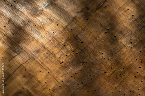 striature in legno photo