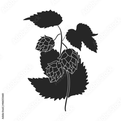 Hop vector black icon. Isolated black illustration icon humulus. Vector illustration hop on white background.