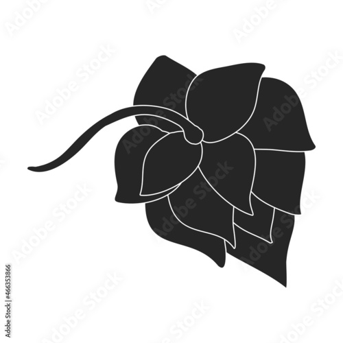 Hop vector black icon. Isolated black illustration icon humulus. Vector illustration hop on white background.
