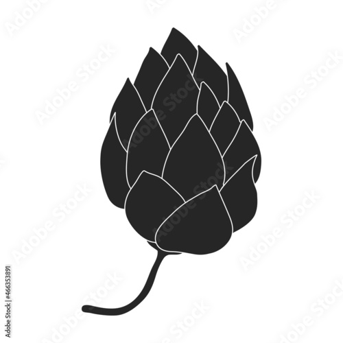 Hop vector black icon. Isolated black illustration icon humulus. Vector illustration hop on white background.