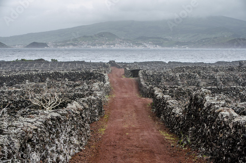 Weinanbau mit Steinmauern auf Vulkaninsel Pico mit Blick auf Nachbarinsel Faial