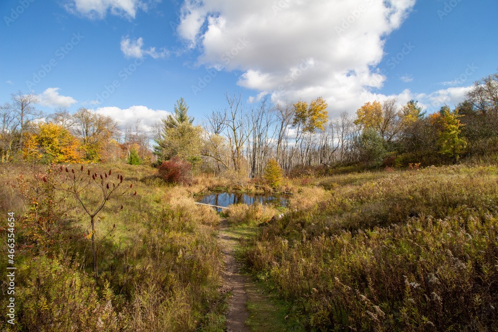 Canadian Natural Area in Fall