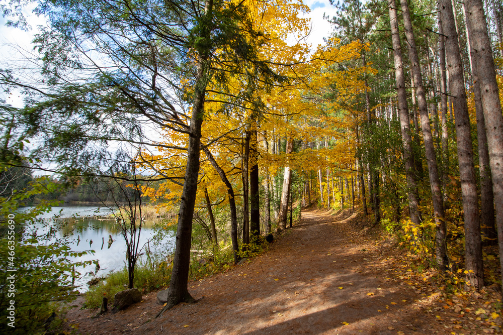 Fototapeta premium Canadian Natural Area in Fall