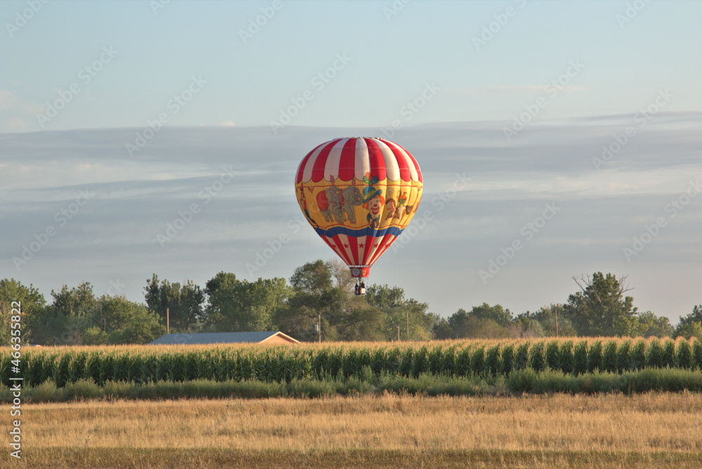 Obraz premium National Championship Balloon Competition