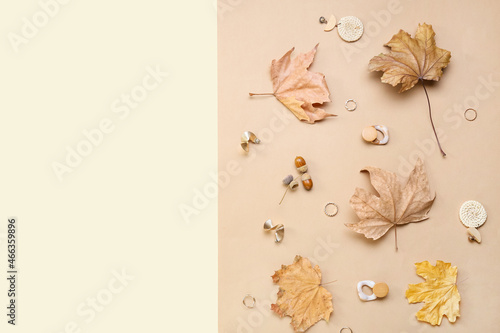 Stylish jewelry and dry lea...