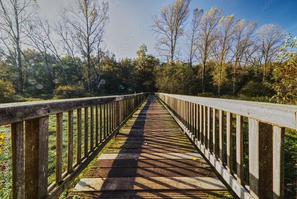 wooden bridge in the autumn woodlands