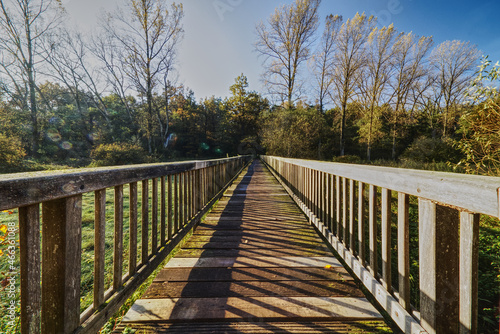 wooden bridge in the autumn woodlands