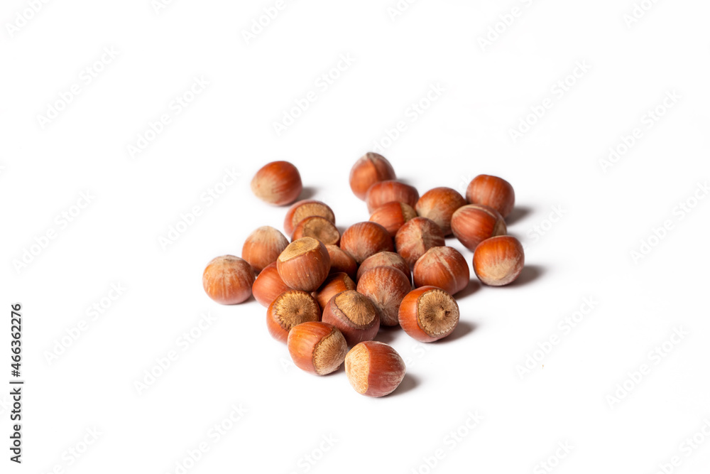 Shelled hazelnuts on the white background Shelled hazelnuts on the white background