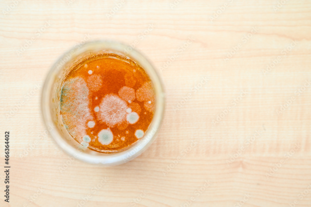 Jar of moldy jam on a wooden background. Selective focus on mold. Jar of moldy jam on a wooden background. Selective focus on mold.