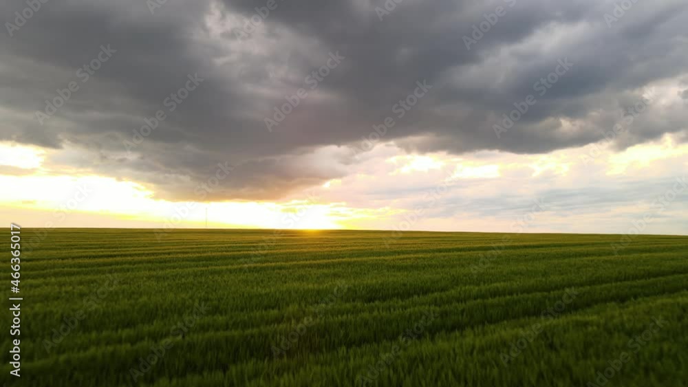 Aerial landscape view of green cultivated agricultural fields with growing crops on bright summer evening Aerial landscape view of green cultivated agricultural fields with growing crops on bright summer evening