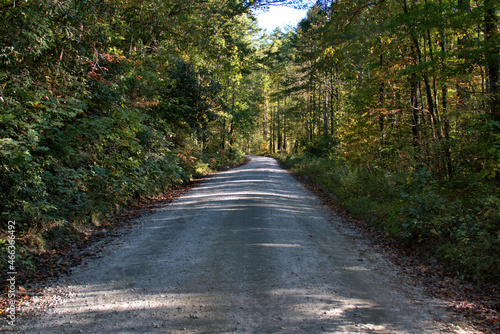 Back roads of South Carolina with fall colors