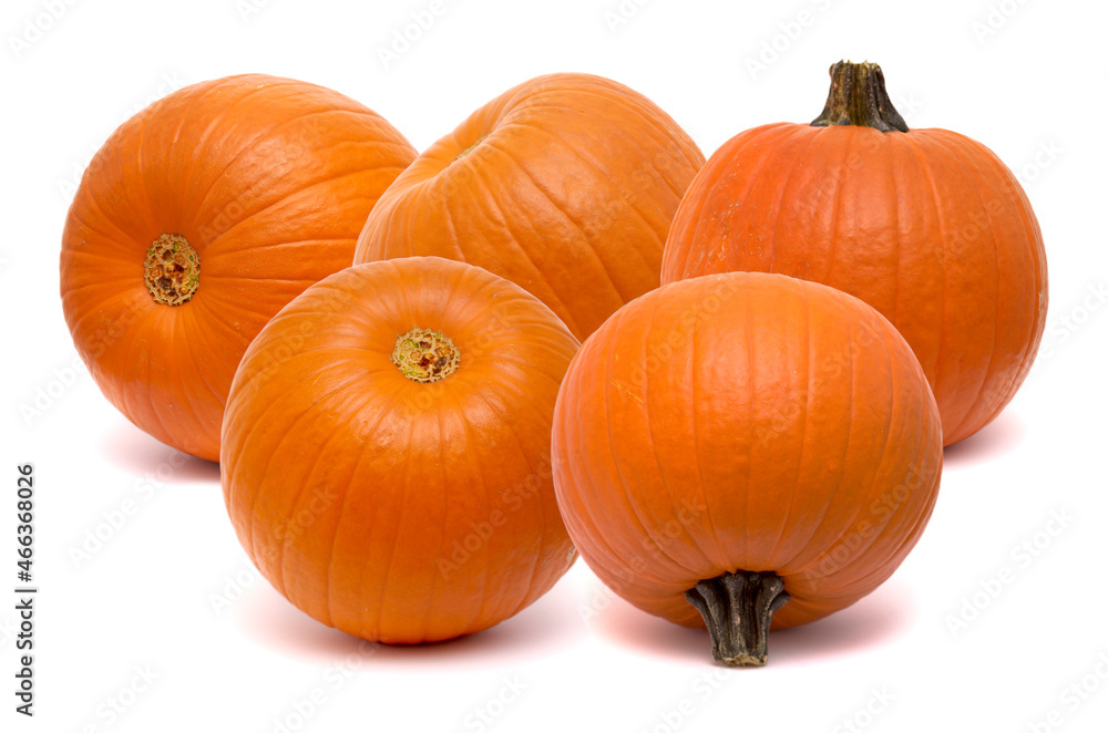 Round orange pumpkin isolated on white background Round orange pumpkin isolated on white background