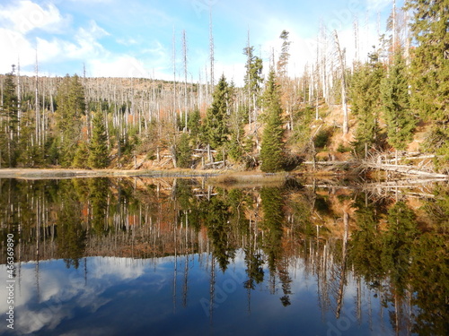 Lake Laka with floating islands on the surface is the smallest, shallowest and highest glacial lake in Šumava photo