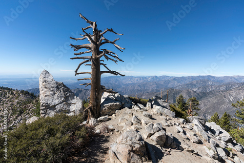 Ontario Peak in the Angeles...