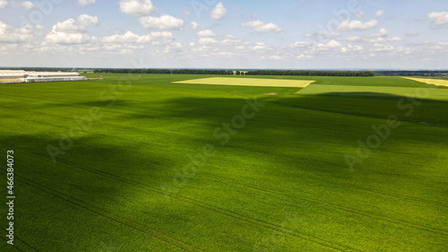 Aerial view of Poultry Factory, Sown Fields, Forest, Alley, Roads, Clear Sky, Summer, Ukraine