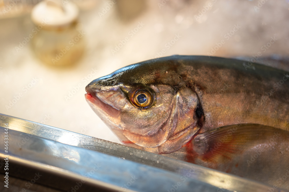 An ocean fish stacked on ice, raw freshness frozen food which is prepared for made sashimi and sushi. Japanese seafood cooking ingredient photo. Close-up and selective eye-focus. An ocean fish stacked on ice, raw freshness frozen food which is prepared for made sashimi and sushi. Japanese seafood cooking ingredient photo. Close-up and selective eye-focus.