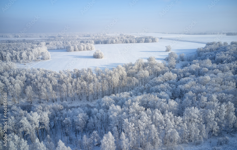 Aerial photo of birch forest in winter season. Drone shot of trees covered with hoarfrost and snow. Aerial photo of birch forest in winter season. Drone shot of trees covered with hoarfrost and snow.