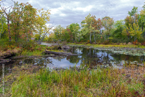 woodland and marshes of missisquoi refuge