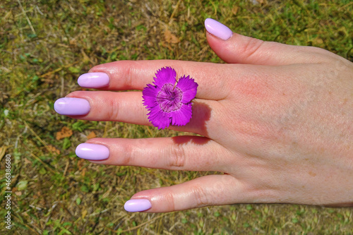 A beautiful lilac flower in a woman's hand
