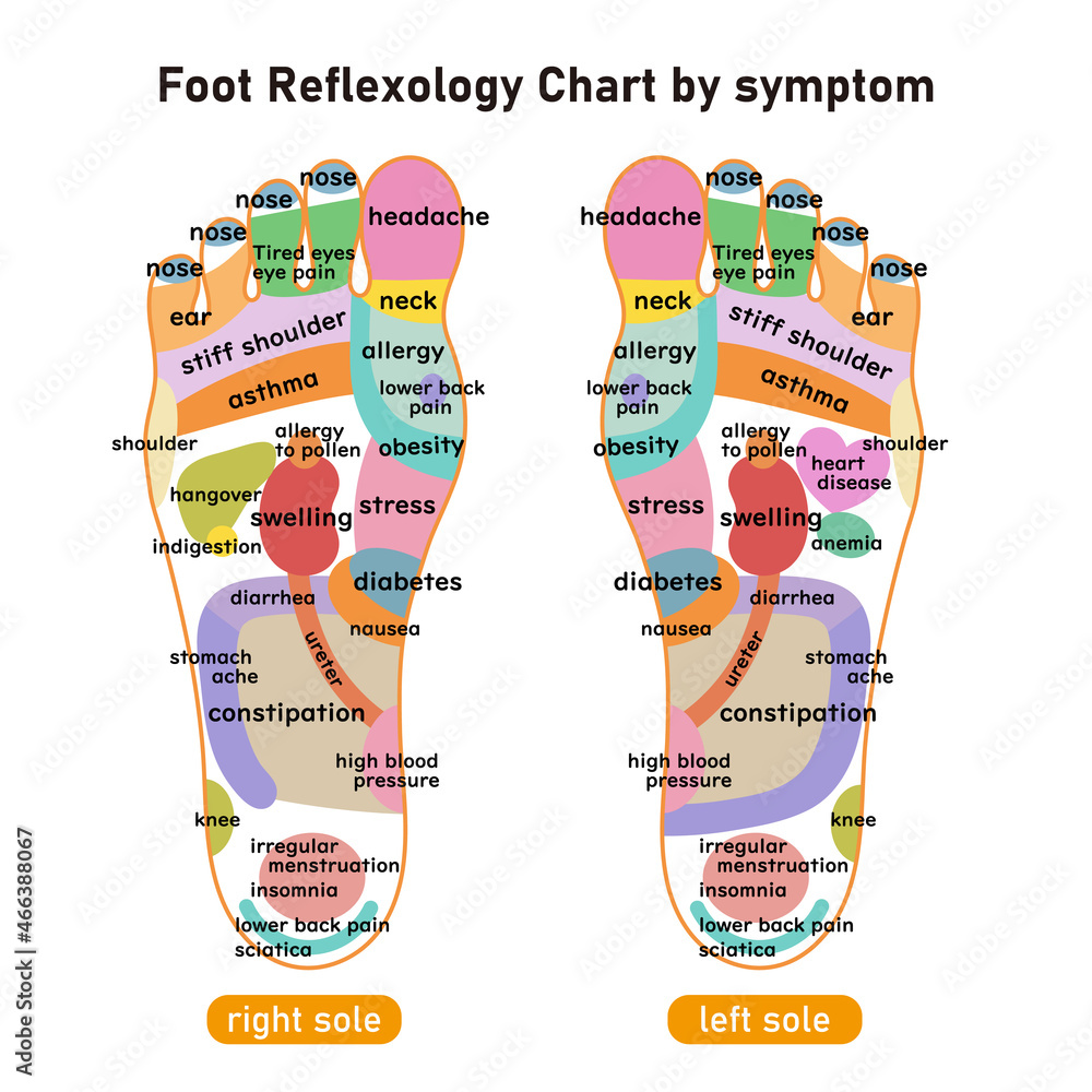 症状別足裏の反射区 足つぼ 図解イラスト 英語版 Stock Vector Adobe Stock 症状別足裏の反射区 足つぼ 図解イラスト 英語版 Stock Vector Adobe Stock